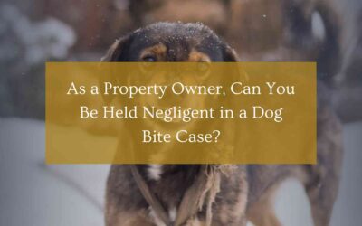 As a Property Owner, Can You Be Held Negligent in a Dog Bite Case?
